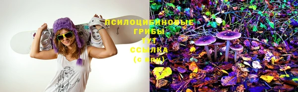 первитин Протвино
