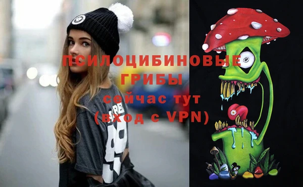 spice Рославль