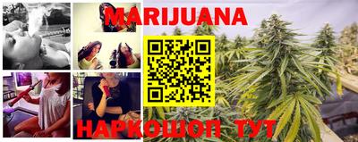 прущие крисы Аргун