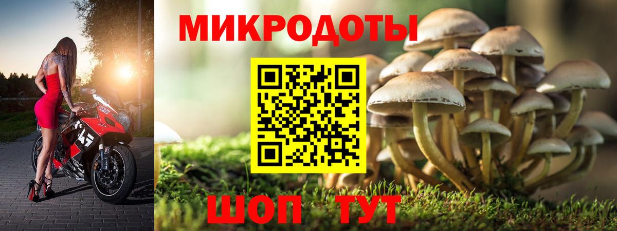 Псилоцибиновые грибы мицелий  Сибай 